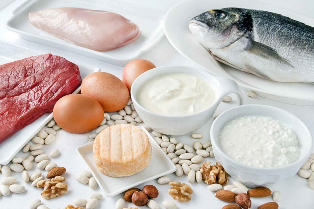 Τροφές με υψηλή περιεκτικότητα σε πρωτεΐνη που χρησιμοποιούνται για ξήρανση